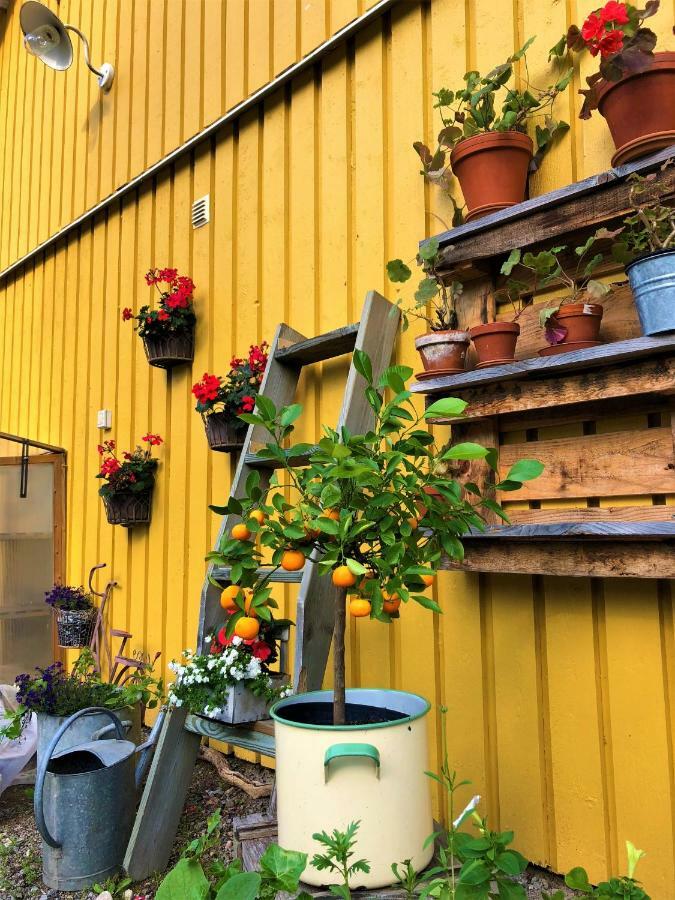Ekotur Upplevelser I Regna Bed and Breakfast Exteriör bild